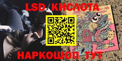 шишки Заволжье
