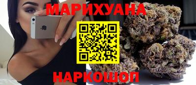 шишки Заволжье