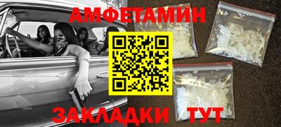шишки Заволжье