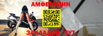 шишки Заволжье