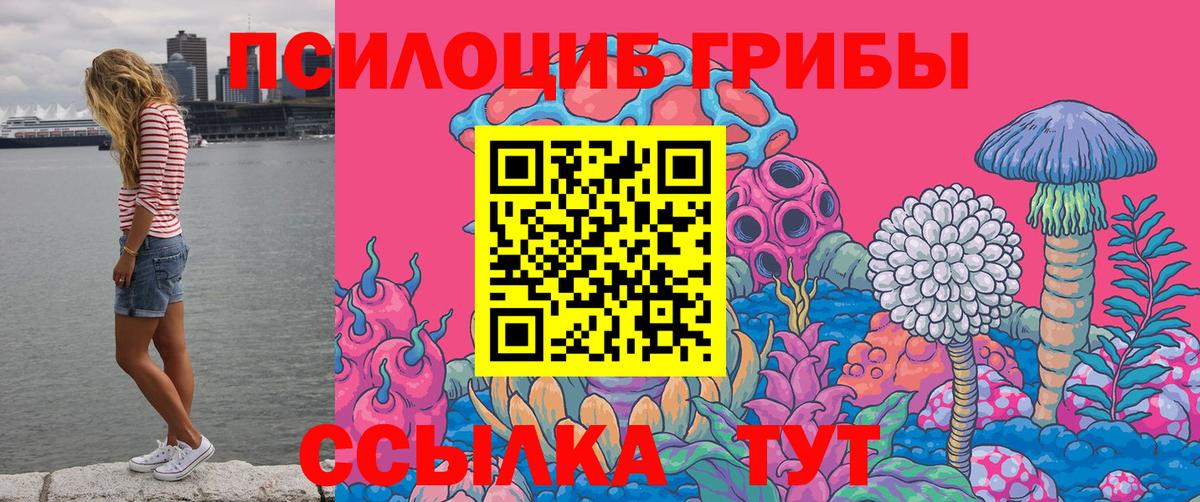 Лыткарино  Галлюциногенные грибы Psilocybe  Вход с VPN 